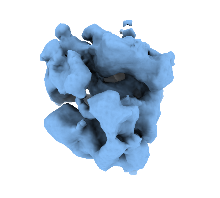 ribosome initial model