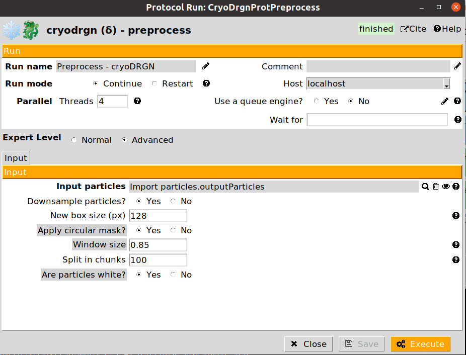 CryoDRGN preprocess step