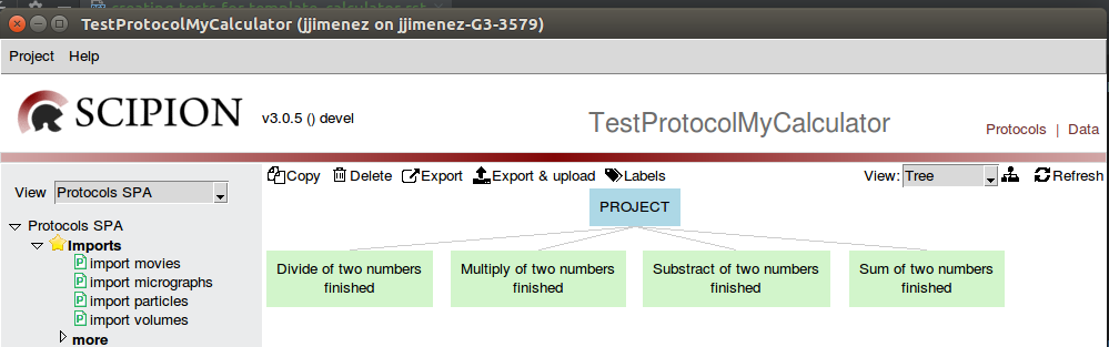 test execution resulting project